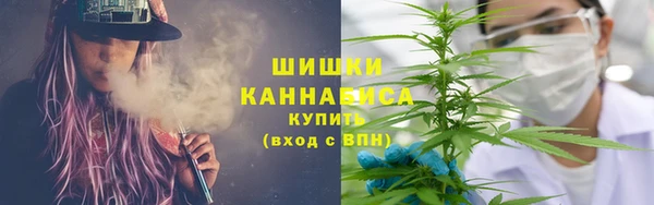 шишки Алзамай