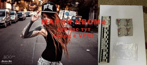 шишки Алзамай