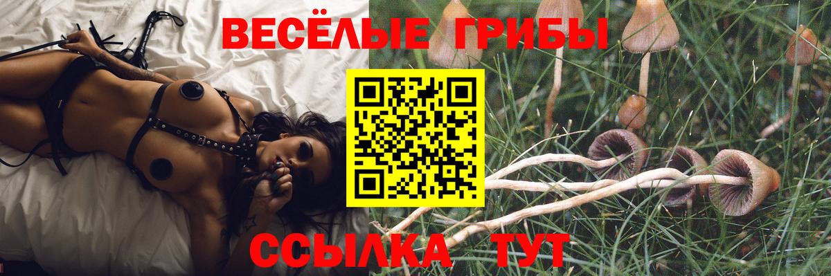 Псилоцибиновые грибы прущие грибы  Вход с VPN  Элиста 